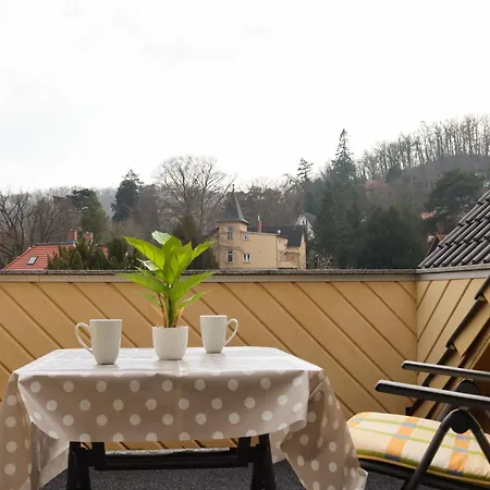 -villa Am Stadtpark- Mit Balkon Und Sauna Apartament *