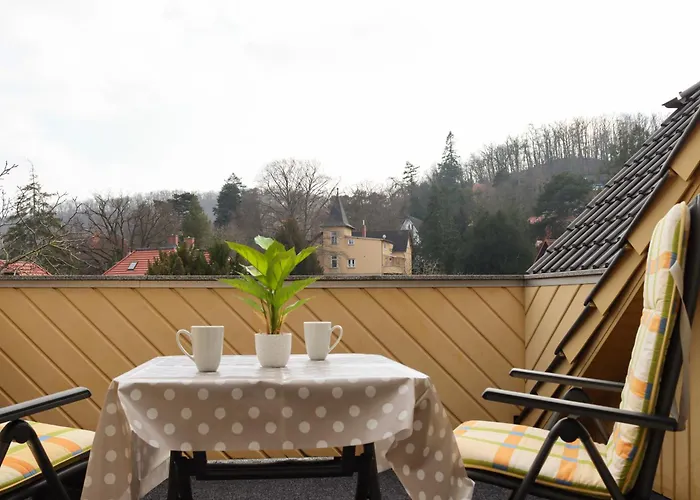 -villa Am Stadtpark- Mit Balkon Und Sauna Lägenhet *